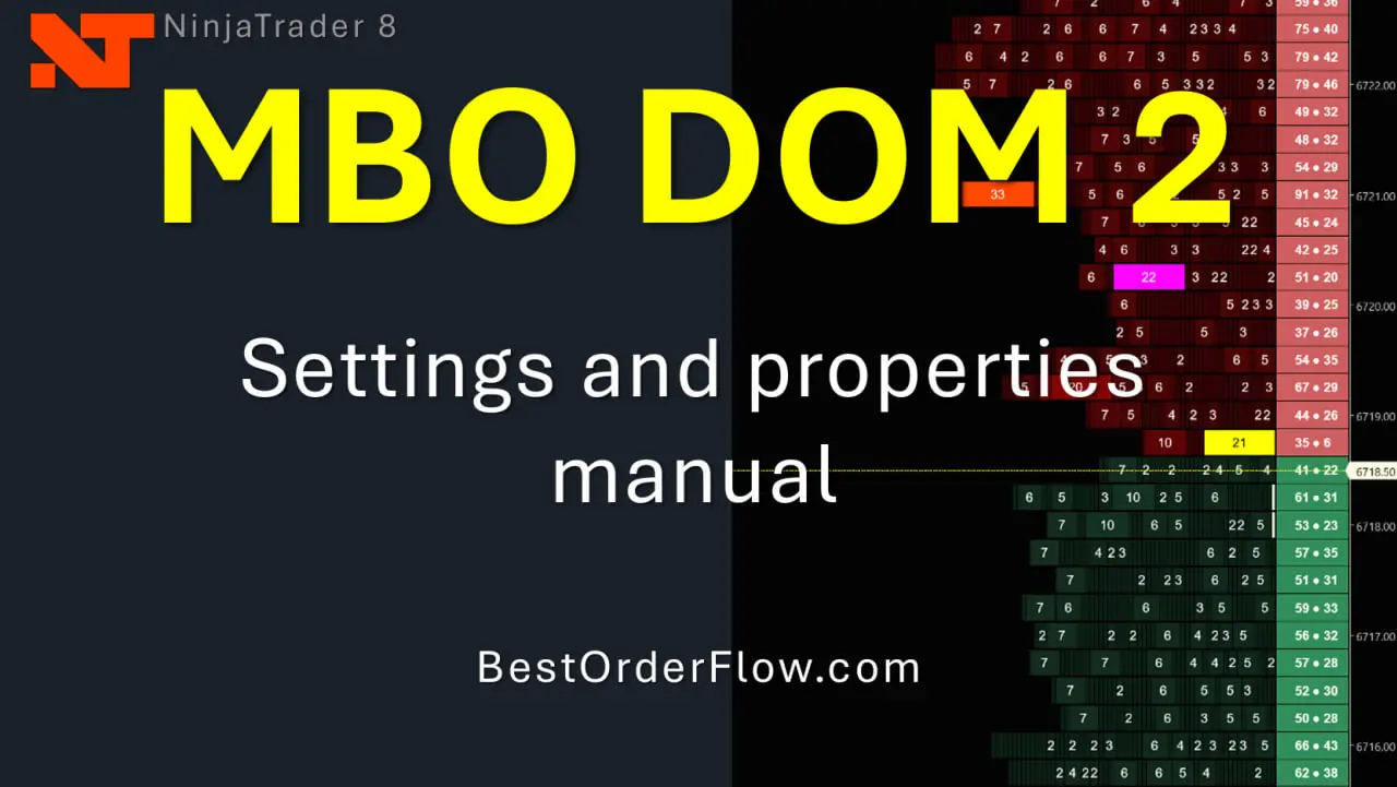 MBO DOM PDF Manual NinjaTrader