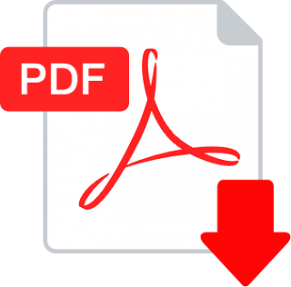 pdf icon 4
